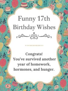 funny 17th birthday wishes