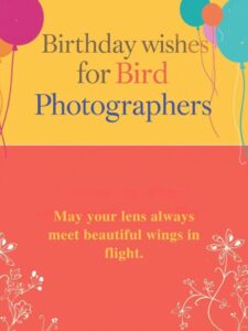 Birthday Wishes for Bird Photographers