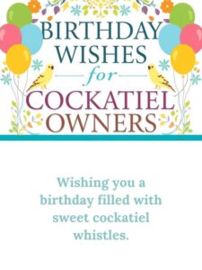 Birthday Wishes for Cockatiel Owners