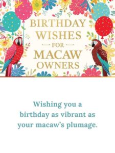 Birthday Wishes for Macaw Owners