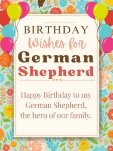 Birthday Wishes for German Shepherd