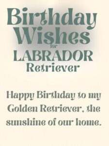 Birthday Wishes for Golden Retriever
