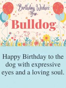 Birthday Wishes for Bulldog