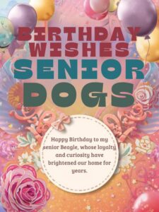 Birthday Wishes for Senior Dogs