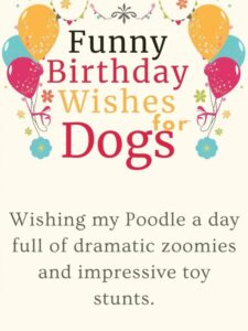 Funny Birthday Wishes for Dogs